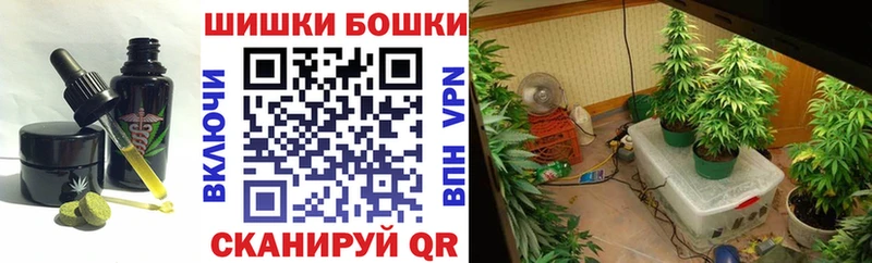 мега онион  Вяземский  Cannafood конопля 