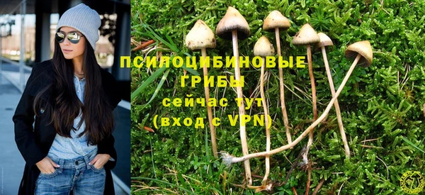 альфа пвп Баксан